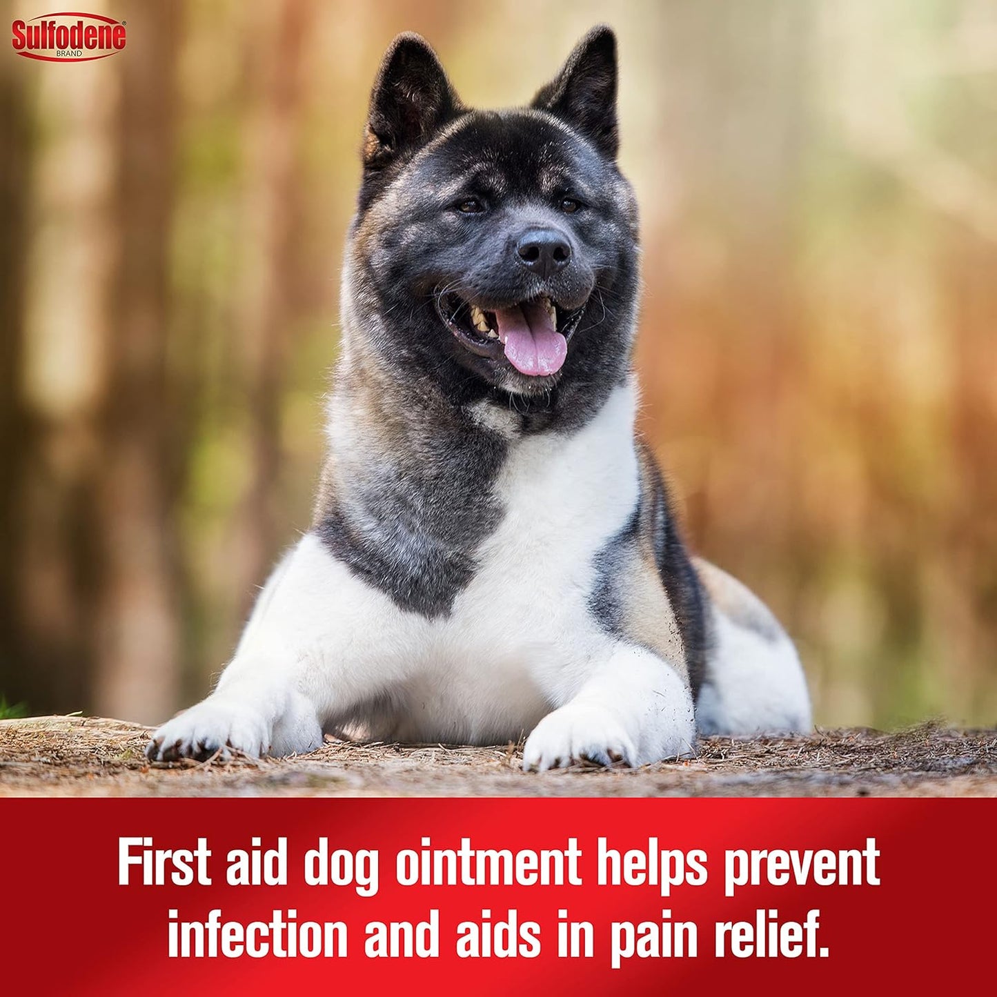 Dog Wound Care 3-Way Ointment, Relieves Pain & Prevents Infection For Dog Cuts, Scrapes, Bites and Injuries, 2 Ounce