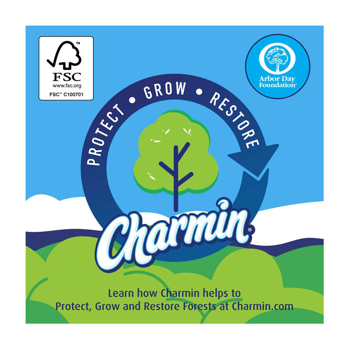 Charmin Essentials Soft Toilet Paper Mega Rolls, 12 ct