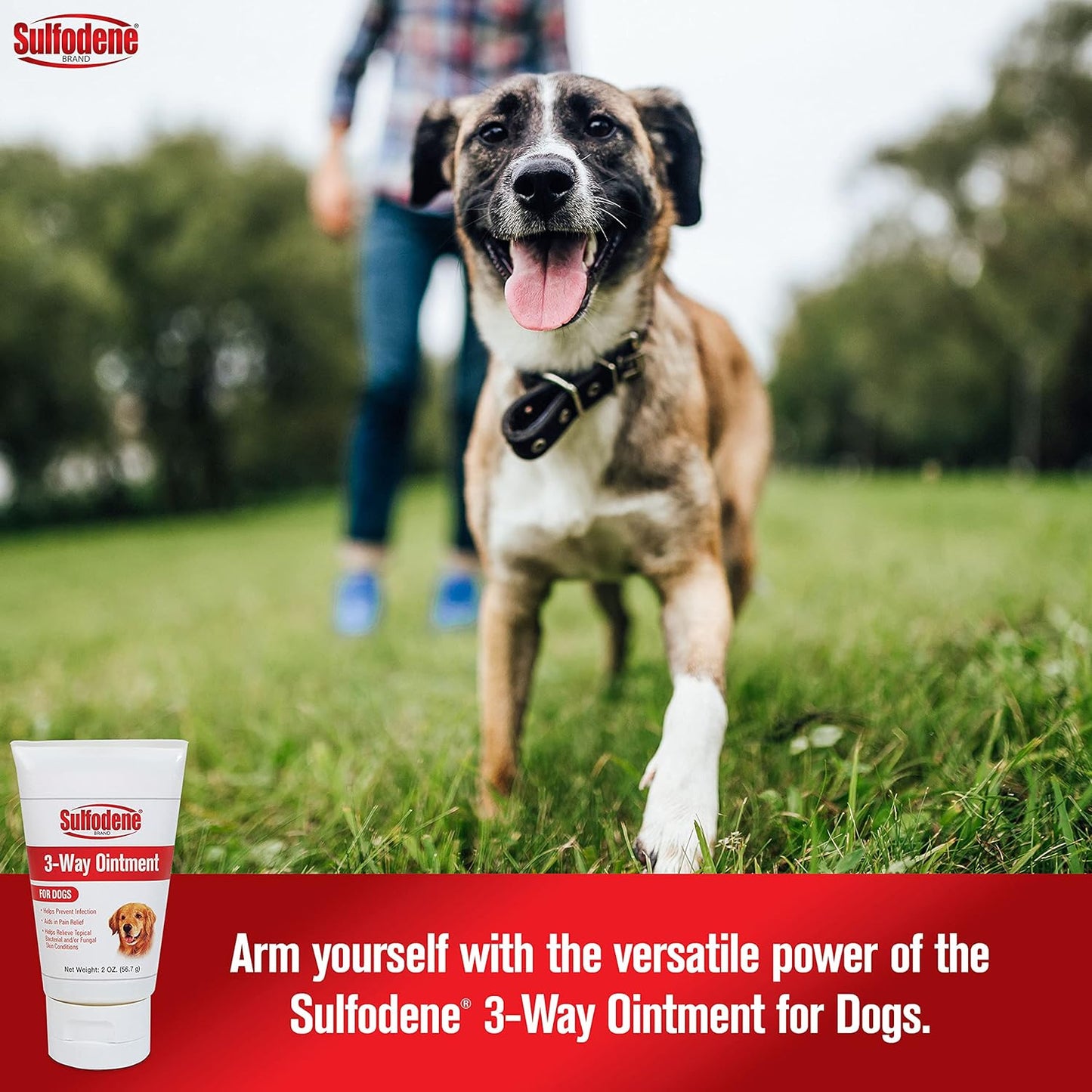 Dog Wound Care 3-Way Ointment, Relieves Pain & Prevents Infection For Dog Cuts, Scrapes, Bites and Injuries, 2 Ounce