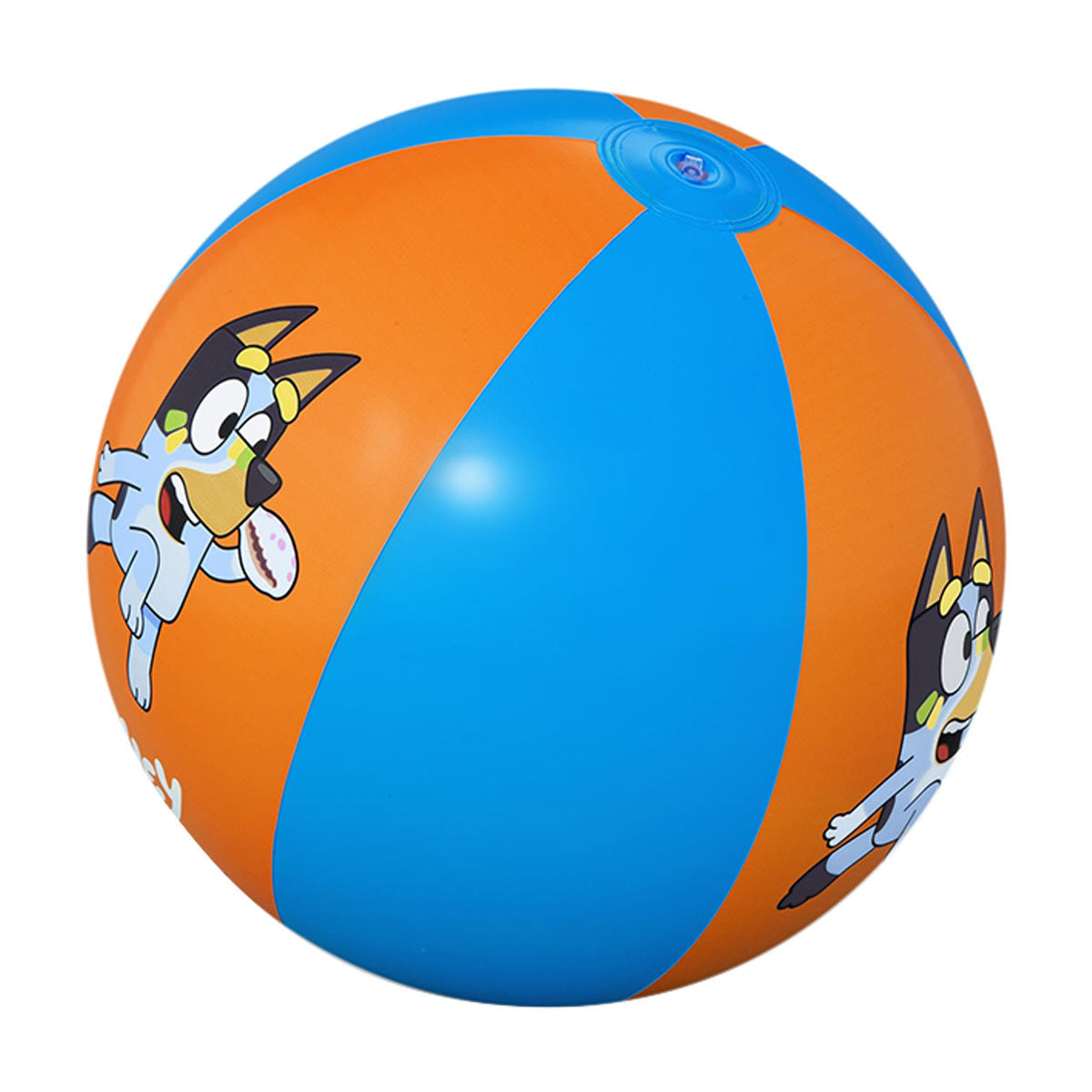 Bluey Themed Kids Swim Pool Toys, 1 ct - Assorted